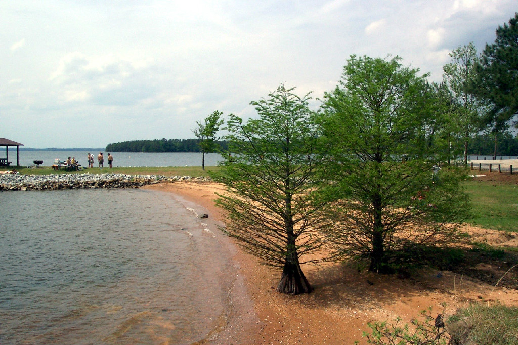 Lake Monticello - designed for fishing