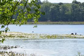 Langley Pond - Aiken County