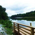 Boyd Millpond – Laurens County