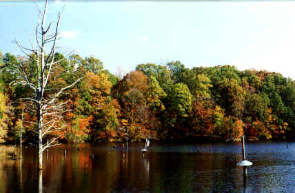 Lake Craig - Spartanburg County / Croft State Park
