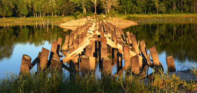 Langley Pond - Aiken County