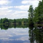 Lake Prestwood – Hartsville SC, Darlington County