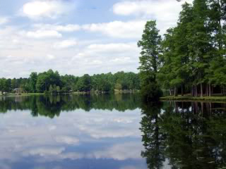 Lake Prestwood - Hartsville SC, Darlington County