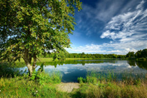 Lake Russell - US Army Corps of Engineers