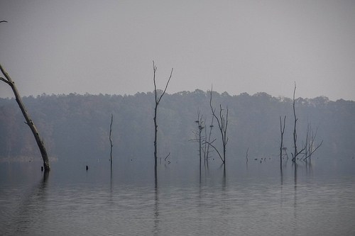 Lake Russell - US Army Corps of Engineers