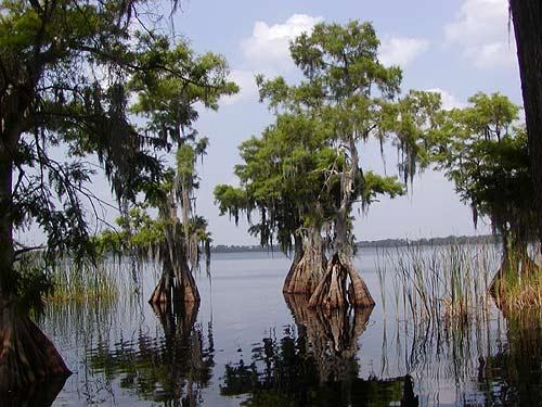 Lake Russell - US Army Corps of Engineers