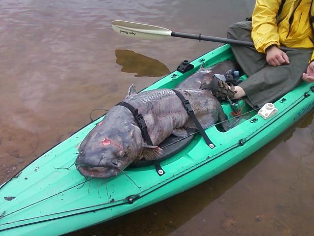 Lake Wateree - Eastern part of South Carolina