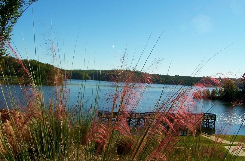 Lake Rabon - Laurens County