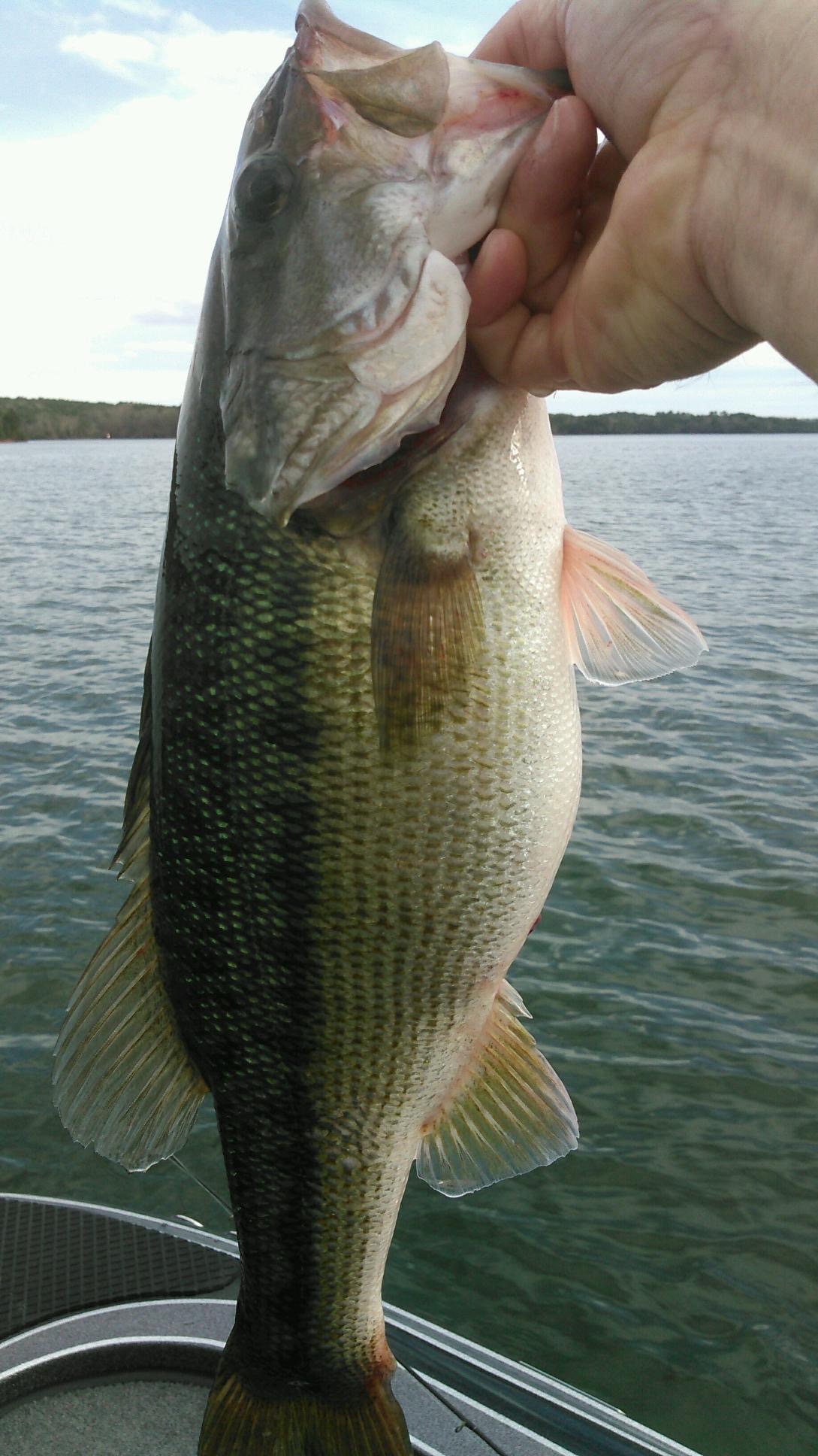 Lake Russell - US Army Corps of Engineers