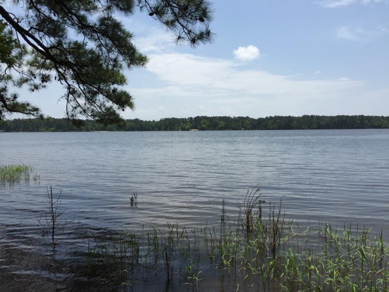 Lake Thurmond / Clarks Hill Reservoir