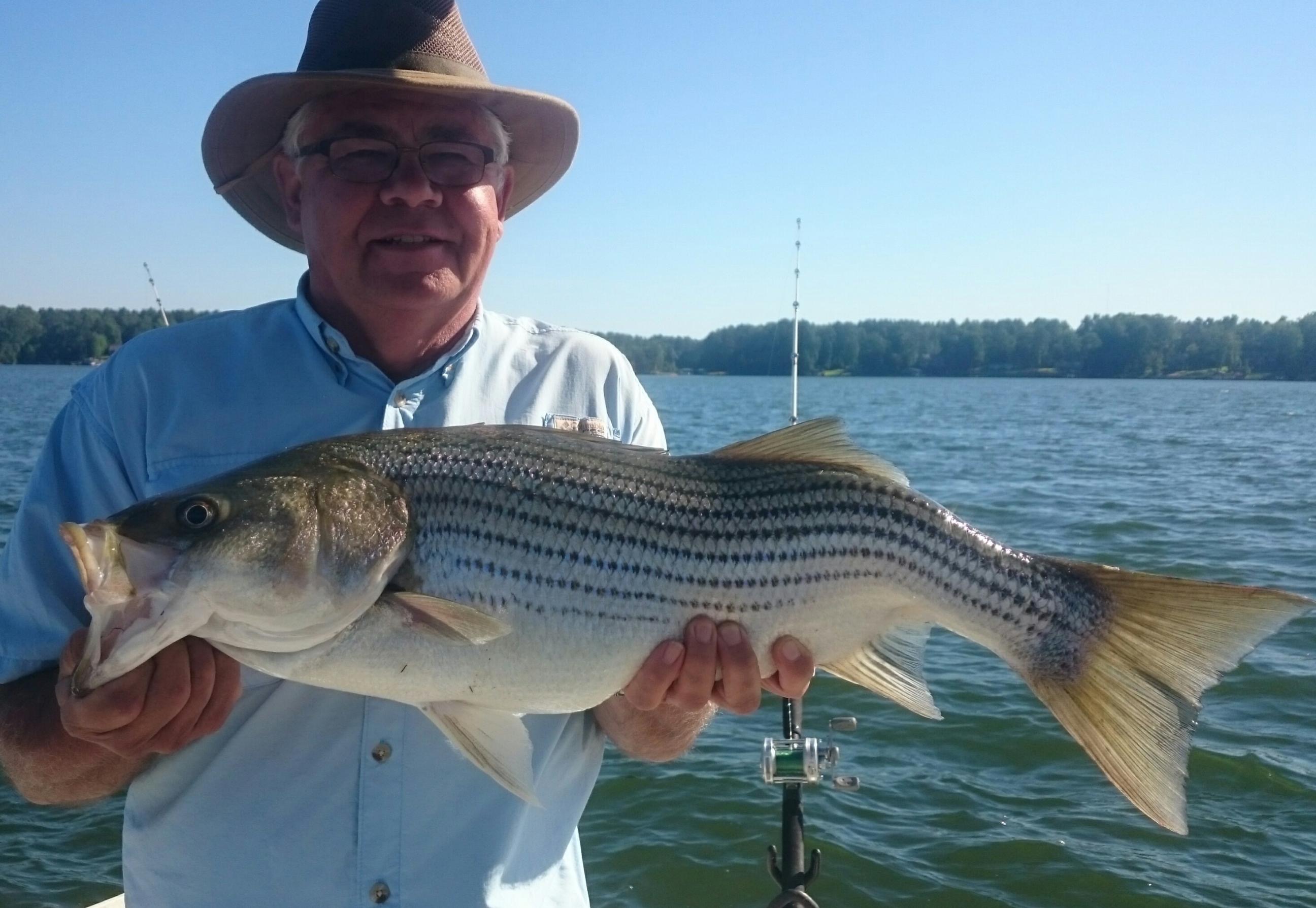 Lake Greenwood - Midlands of South Carolina