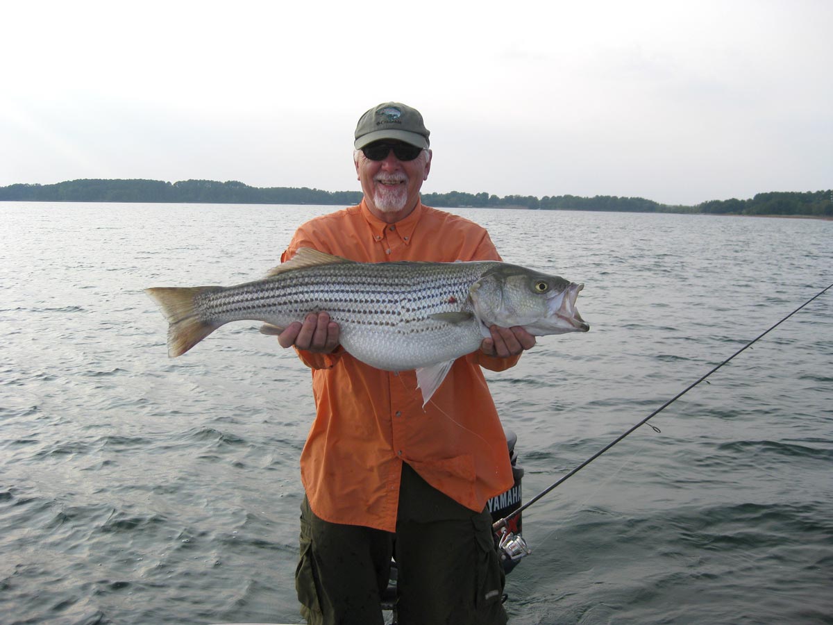 Lake Hartwell - Western border between Georgia and South Carolina