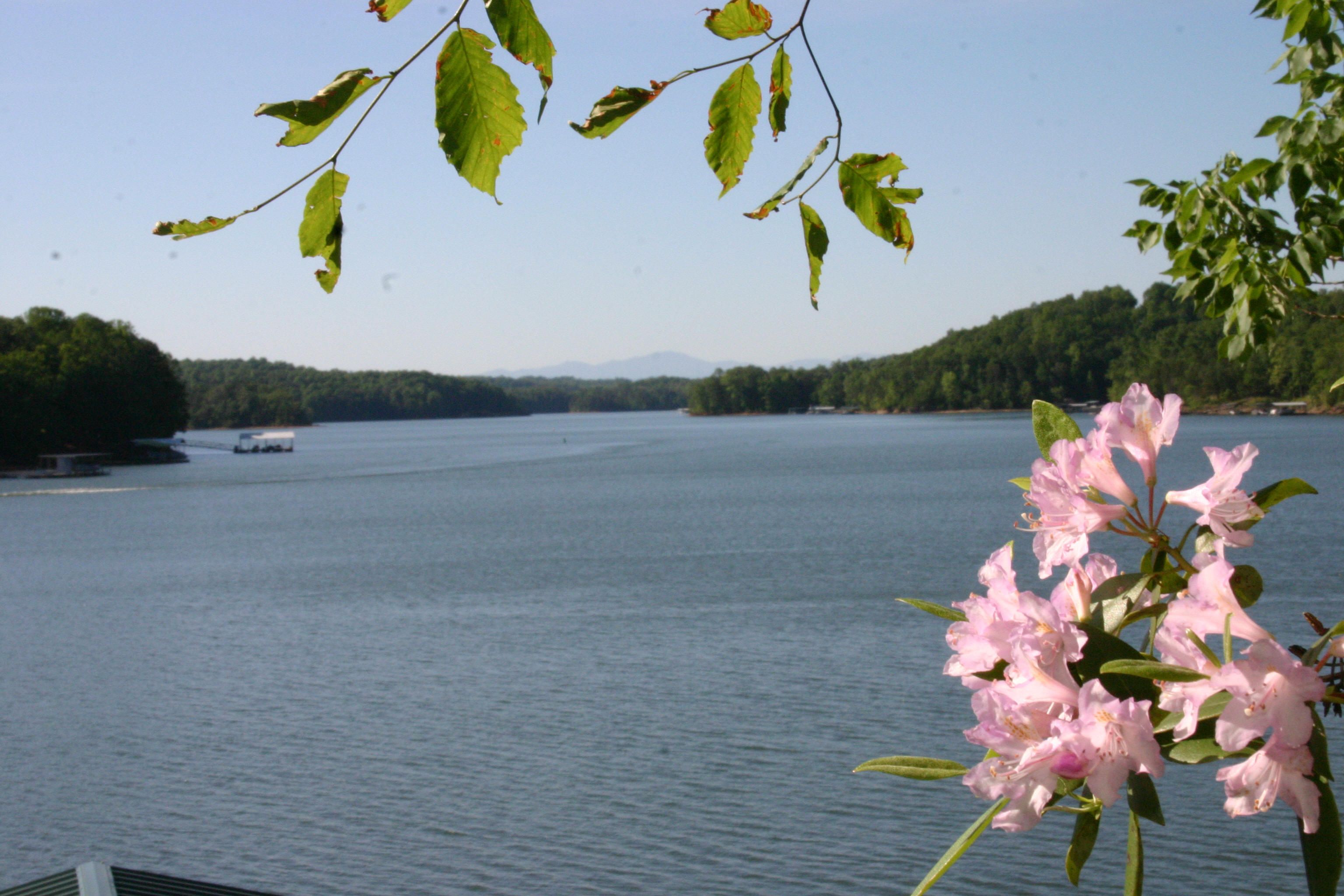 Lake Hartwell - Western border between Georgia and South Carolina