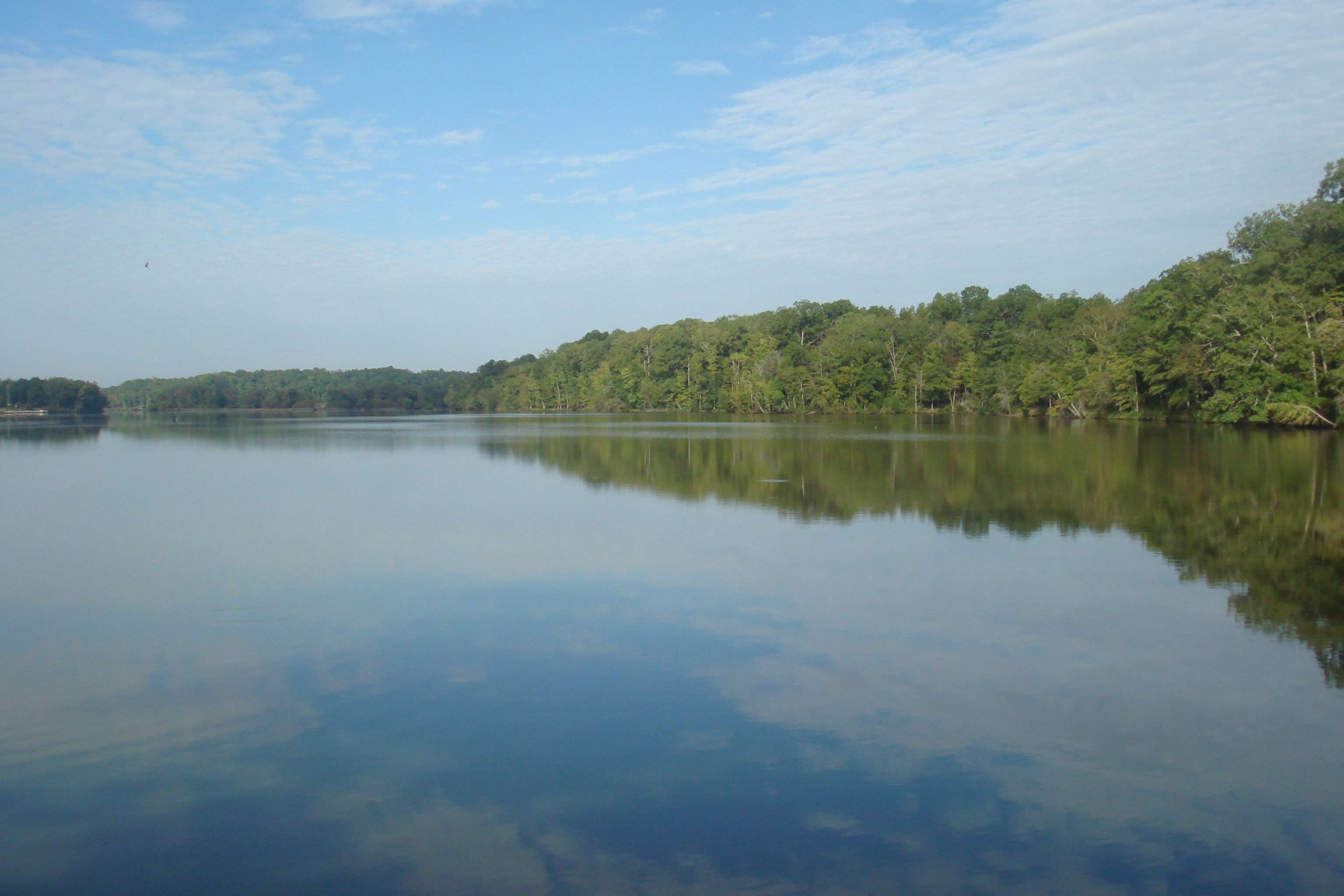 Lake Greenwood - Midlands of South Carolina