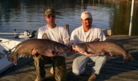 Lake Greenwood - Midlands of South Carolina