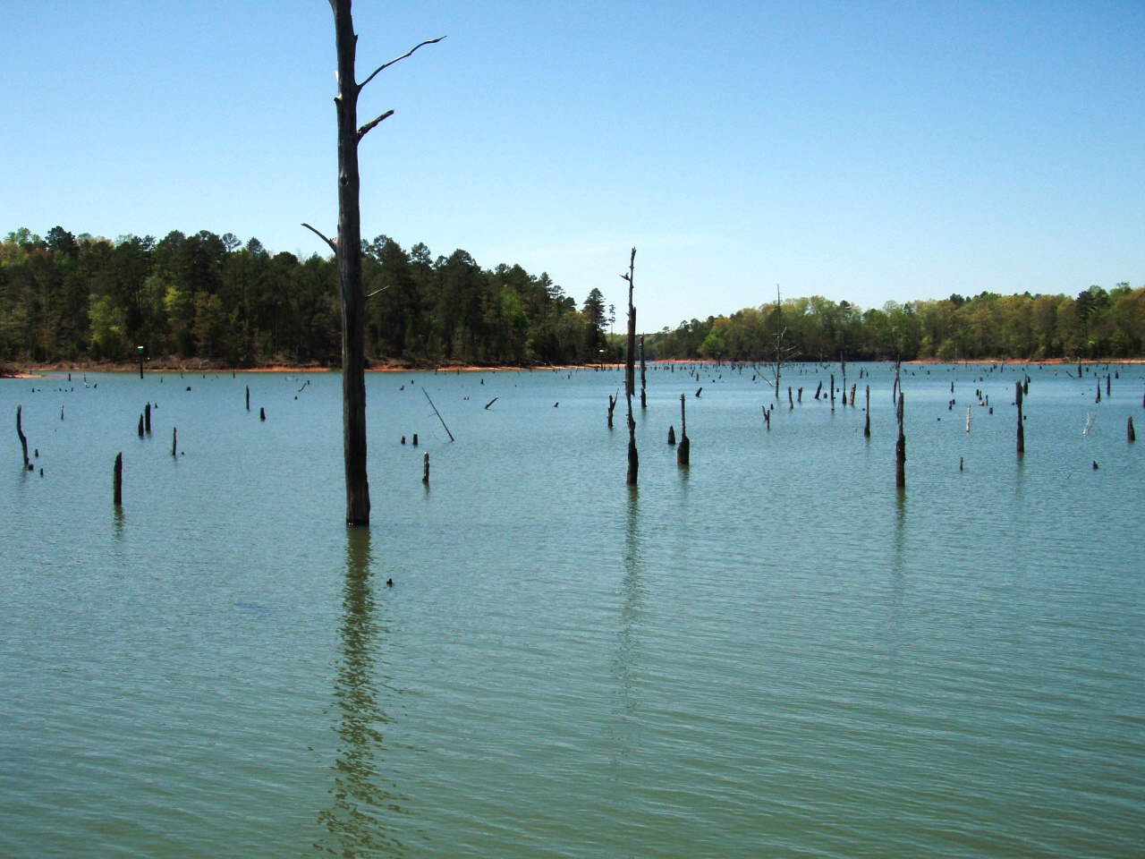 Lake Russell - US Army Corps of Engineers