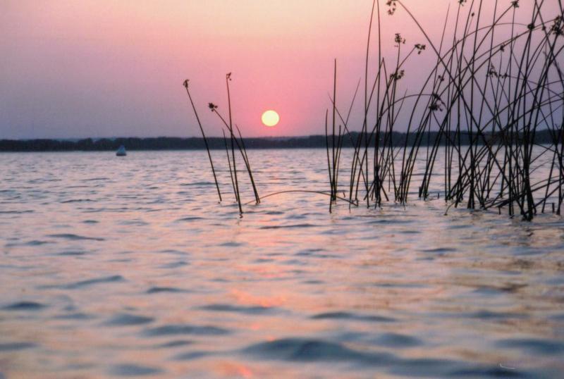 Lake Murray - one of the oldest in SC