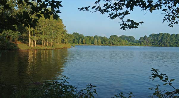 Lake Greenwood - Midlands of South Carolina