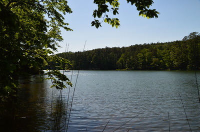 Lake Russell - US Army Corps of Engineers