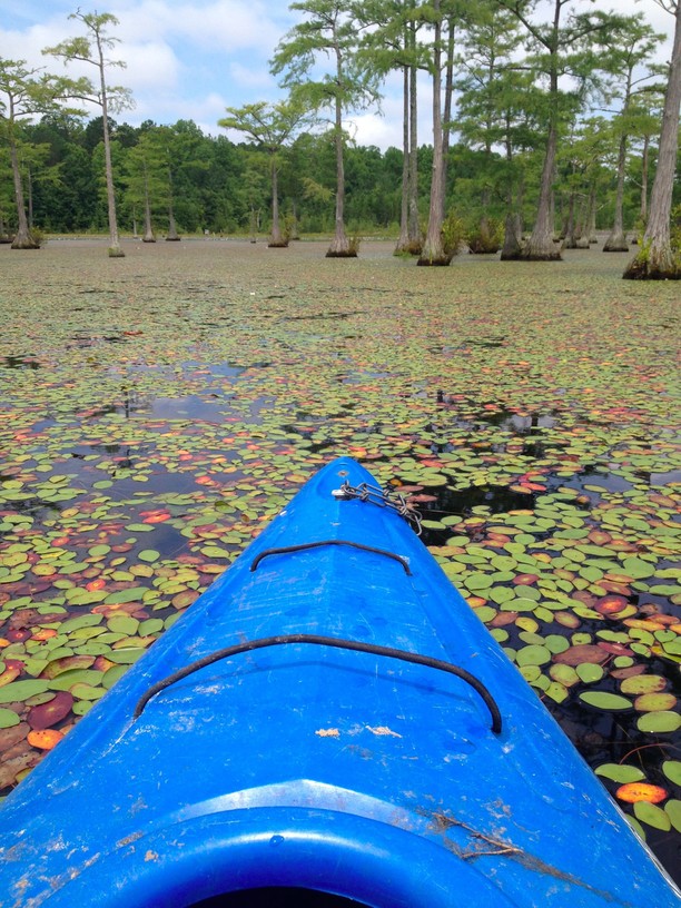 Lake Wateree - Eastern part of South Carolina