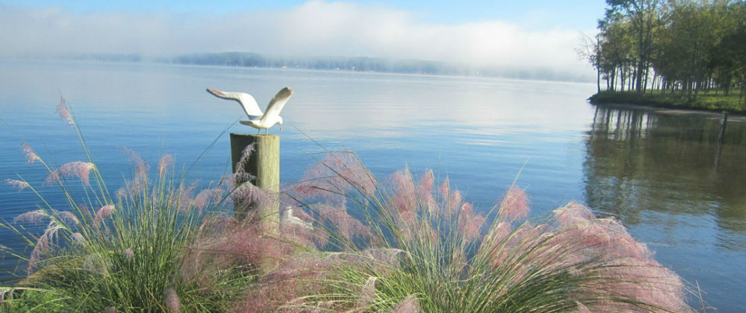 Lake Greenwood - Midlands of South Carolina