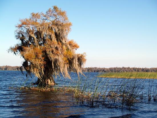 Lake Russell - US Army Corps of Engineers