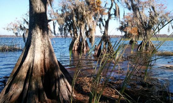 Lake Russell - US Army Corps of Engineers