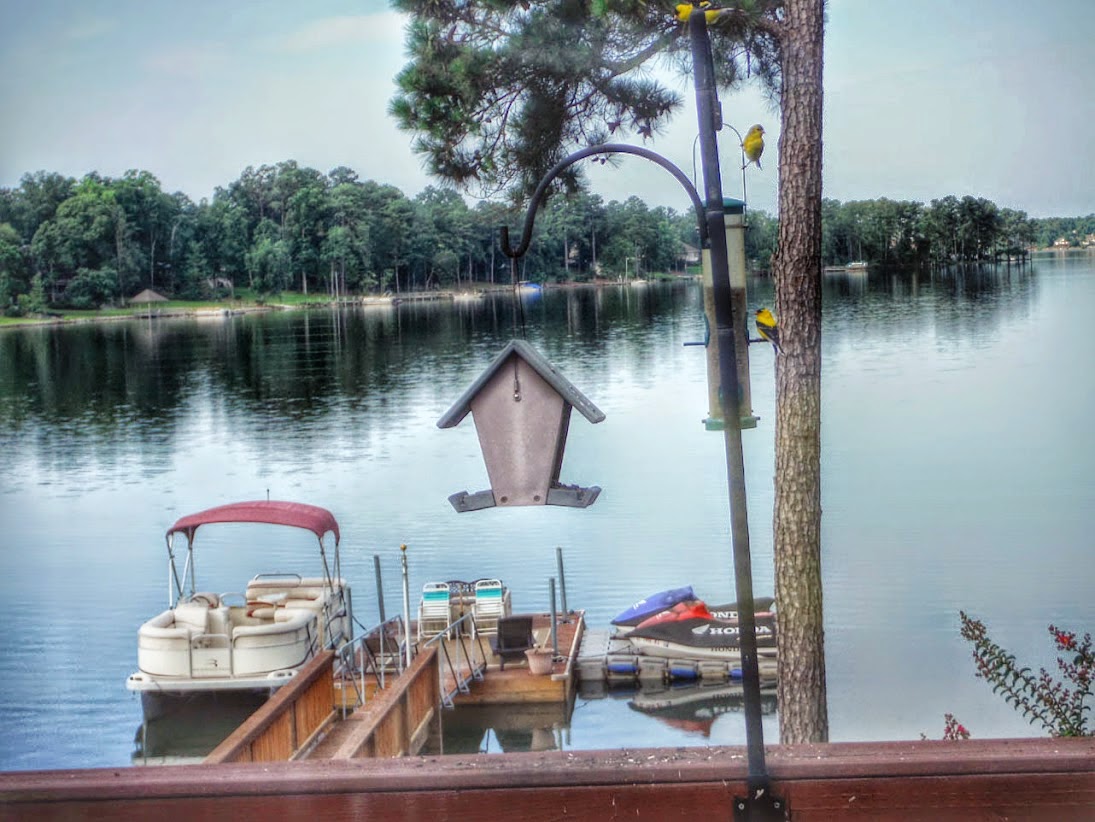 Lake Murray - one of the oldest in SC