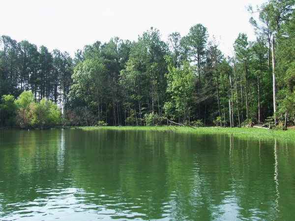 Lake Murray - one of the oldest in SC