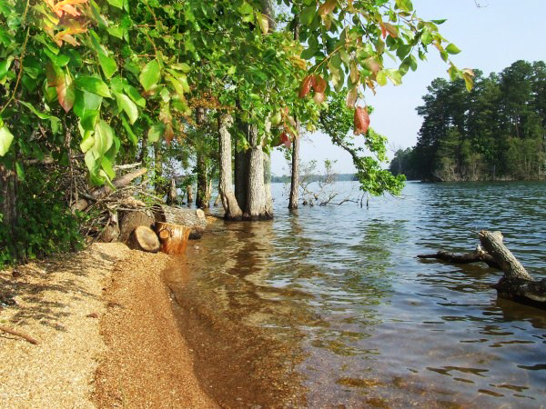 Lake Murray - one of the oldest in SC