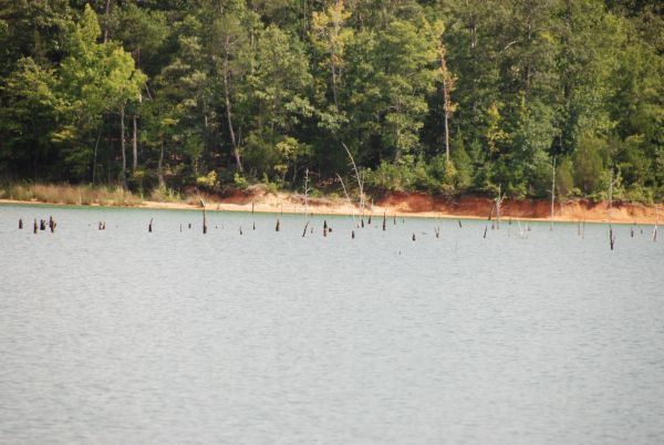 Lake Russell - US Army Corps of Engineers