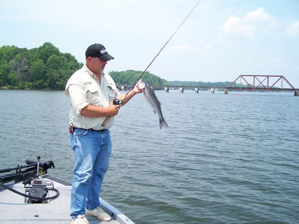 Lake Greenwood - Midlands of South Carolina