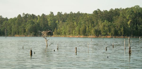 Lake Russell - US Army Corps of Engineers