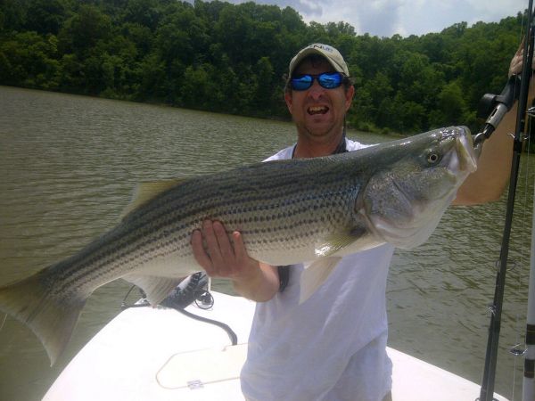 Lake Russell - US Army Corps of Engineers