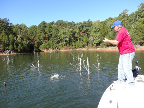 Lake Russell - US Army Corps of Engineers