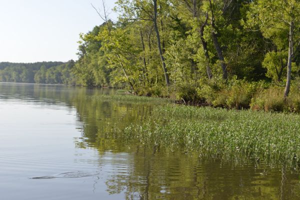 Lake Wateree - Eastern part of South Carolina