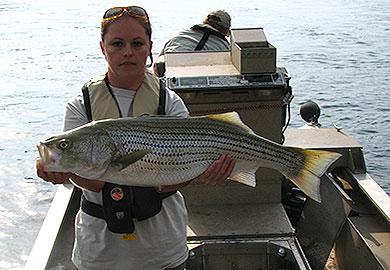 Lake Thurmond / Clarks Hill Reservoir