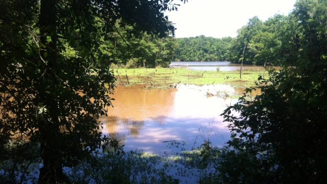 Lake Whelchel - Cherokee County